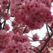 ヒメ日記 2026/03/22 20:35 投稿 ここみ 横浜おかあさん