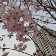 ヒメ日記 2026/03/22 22:38 投稿 ここみ 横浜おかあさん