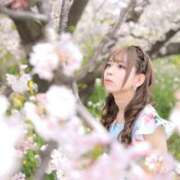 ヒメ日記 2026/03/01 12:23 投稿 優月心菜 ニューグランド