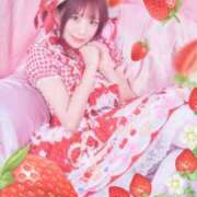 ヒメ日記 2026/03/04 14:13 投稿 優月心菜 ニューグランド