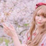 ヒメ日記 2026/03/07 00:03 投稿 優月心菜 ニューグランド