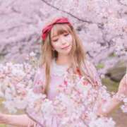 ヒメ日記 2026/03/14 17:53 投稿 優月心菜 ニューグランド