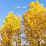 ヒメ日記 2025/12/08 11:34 投稿 ゆな 奥様鉄道69 岡山店