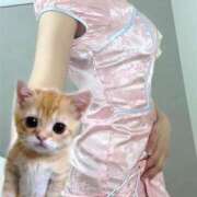 ヒメ日記 2025/12/17 20:37 投稿 ゆゆ DOLCE