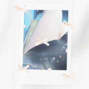 ヒメ日記 2025/11/17 11:44 投稿 川瀬まゆ 五十路マダム 郡山店