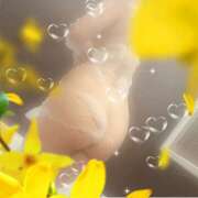 ヒメ日記 2025/11/29 18:08 投稿 川瀬まゆ 五十路マダム 郡山店