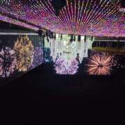 ヒメ日記 2025/12/12 04:28 投稿 川瀬まゆ 五十路マダム 郡山店