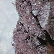 ヒメ日記 2026/04/04 05:38 投稿 川瀬まゆ 五十路マダム 郡山店