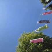 ヒメ日記 2026/05/06 05:24 投稿 川瀬まゆ 五十路マダム 郡山店