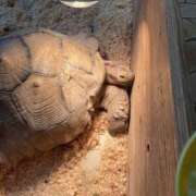 ヒメ日記 2025/11/26 13:14 投稿 めぐる One More 奥様　松戸店