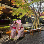 ヒメ日記 2025/11/25 19:32 投稿 わか 神田エマニエル