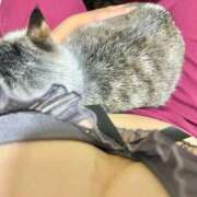 ヒメ日記 2025/11/09 01:42 投稿 しおん 蒲田ウルトラギャラクシー