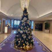 八木 百合子 こんにちは🎄 CASA BIANCA（カーサ・ビアンカ）