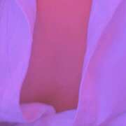 ヒメ日記 2025/11/22 20:54 投稿 ゆう ∞ (はっち)