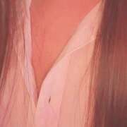 ヒメ日記 2025/12/18 21:34 投稿 ゆう ∞ (はっち)