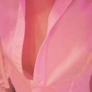 ヒメ日記 2026/01/20 21:38 投稿 ゆう ∞ (はっち)