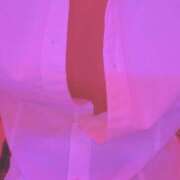 ヒメ日記 2026/01/25 17:49 投稿 ゆう ∞ (はっち)