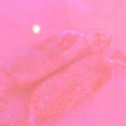 ヒメ日記 2026/03/25 19:47 投稿 ゆう ∞ (はっち)