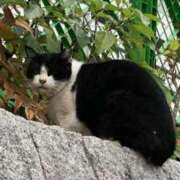 ヒメ日記 2025/11/25 09:32 投稿 しょうり 熟女家 京橋店