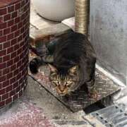 しょうり 昨日は寒い中ありがとうございました 熟女家 京橋店