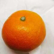 ヒメ日記 2025/12/07 11:17 投稿 しょうり 熟女家 京橋店