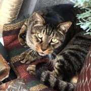 ヒメ日記 2025/12/09 19:26 投稿 しょうり 熟女家 京橋店