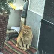 ヒメ日記 2026/01/08 12:26 投稿 しょうり 熟女家 京橋店