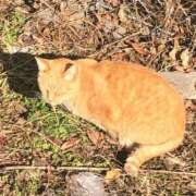 ヒメ日記 2026/01/09 19:16 投稿 しょうり 熟女家 京橋店