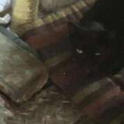 ヒメ日記 2026/01/26 07:56 投稿 しょうり 熟女家 京橋店