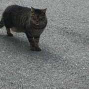 ヒメ日記 2026/02/04 09:56 投稿 しょうり 熟女家 京橋店