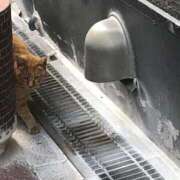 ヒメ日記 2026/02/05 09:46 投稿 しょうり 熟女家 京橋店