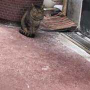 ヒメ日記 2026/02/06 19:07 投稿 しょうり 熟女家 京橋店