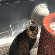 ヒメ日記 2026/02/11 12:35 投稿 しょうり 熟女家 京橋店