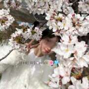 ヒメ日記 2026/04/10 12:02 投稿 Kii THE RICH