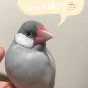 ヒメ日記 2026/03/23 20:02 投稿 しおり 即イキ淫乱倶楽部 柏店