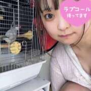 しおり 今日も 即イキ淫乱倶楽部 松戸店