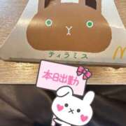 ヒメ日記 2025/11/13 05:30 投稿 ゆき 奥鉄オクテツ東京店（デリヘル市場）