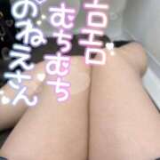 ヒメ日記 2025/11/16 14:05 投稿 ゆき 奥鉄オクテツ東京店（デリヘル市場）