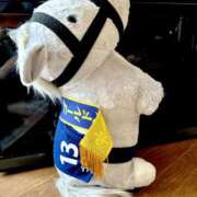 ヒメ日記 2026/01/04 10:14 投稿 みわ 千葉人妻セレブリティ（ユメオト）