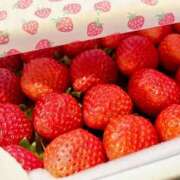 ヒメ日記 2026/02/24 12:00 投稿 みわ 千葉人妻セレブリティ（ユメオト）