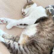 ヒメ日記 2026/02/24 21:08 投稿 みわ 千葉人妻セレブリティ（ユメオト）