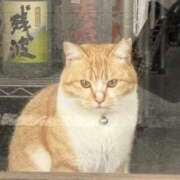 ヒメ日記 2026/03/03 17:50 投稿 みわ 千葉人妻セレブリティ（ユメオト）