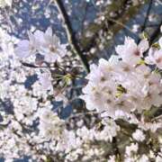 ヒメ日記 2026/03/28 18:41 投稿 みわ 千葉人妻セレブリティ（ユメオト）