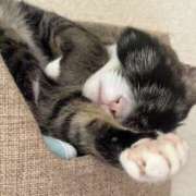 ヒメ日記 2026/03/29 15:37 投稿 みわ 千葉人妻セレブリティ（ユメオト）