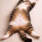 ヒメ日記 2026/03/31 17:05 投稿 みわ 千葉人妻セレブリティ（ユメオト）