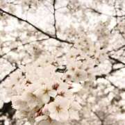 ヒメ日記 2026/04/03 17:39 投稿 みわ 千葉人妻セレブリティ（ユメオト）