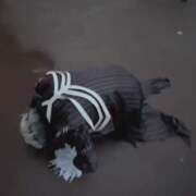 ヒメ日記 2026/04/18 11:24 投稿 みわ 千葉人妻セレブリティ（ユメオト）