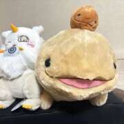 ヒメ日記 2026/10/08 12:45 投稿 みわ 千葉人妻セレブリティ（ユメオト）