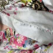 ヒメ日記 2025/11/13 13:30 投稿 ひつじ クラブリリー