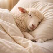 ヒメ日記 2026/04/08 11:10 投稿 ひつじ クラブリリー